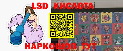 гидра Будённовск