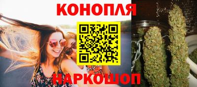 гидра Будённовск