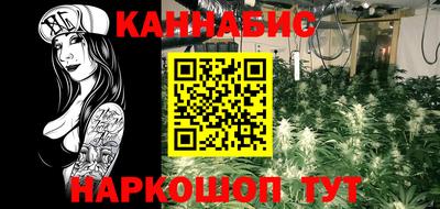 гидра Будённовск