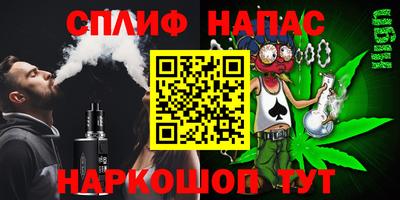 гидра Будённовск