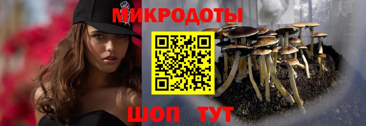 Псилоцибиновые грибы Magic Shrooms  Вход с VPN  Скопин  Псилоцибиновые грибы Psilocybine cubensis 